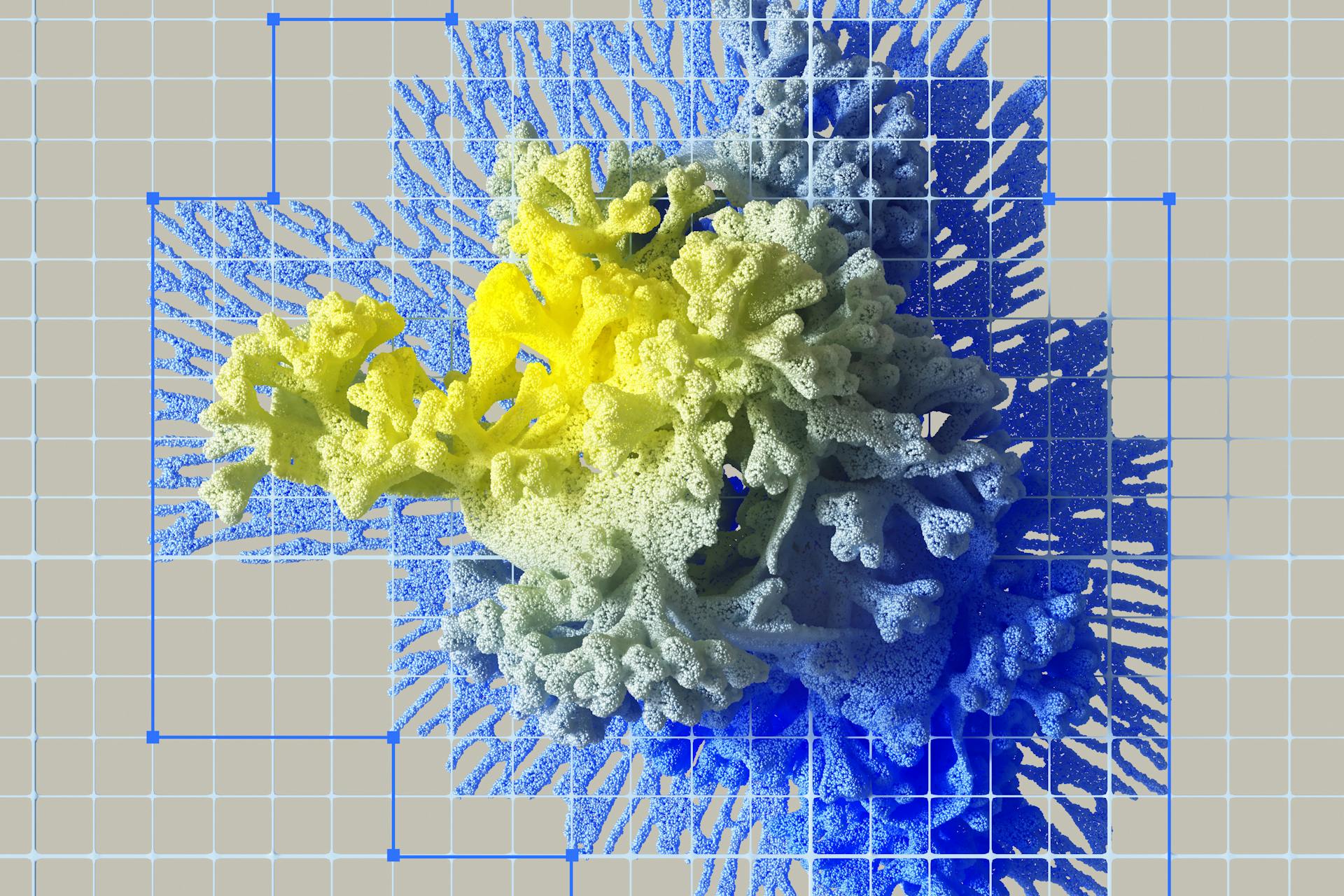 pexels-photo-17484901